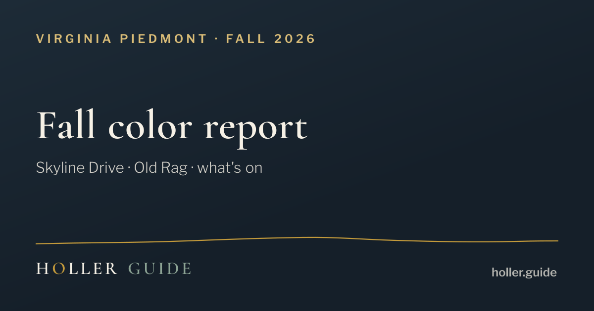 Virginia Fall Foliage 2026: Skyline Drive Color Report | Holler Guide